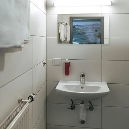 Boutique-hotel Zum Gruenen Baum 호텔 3*
