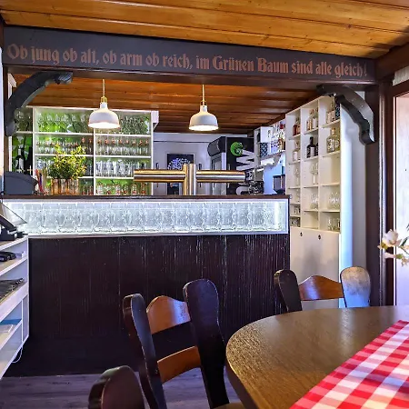 Boutique-hotel Zum Gruenen Baum Ξενοδοχείο Alzenau in Unterfranken
